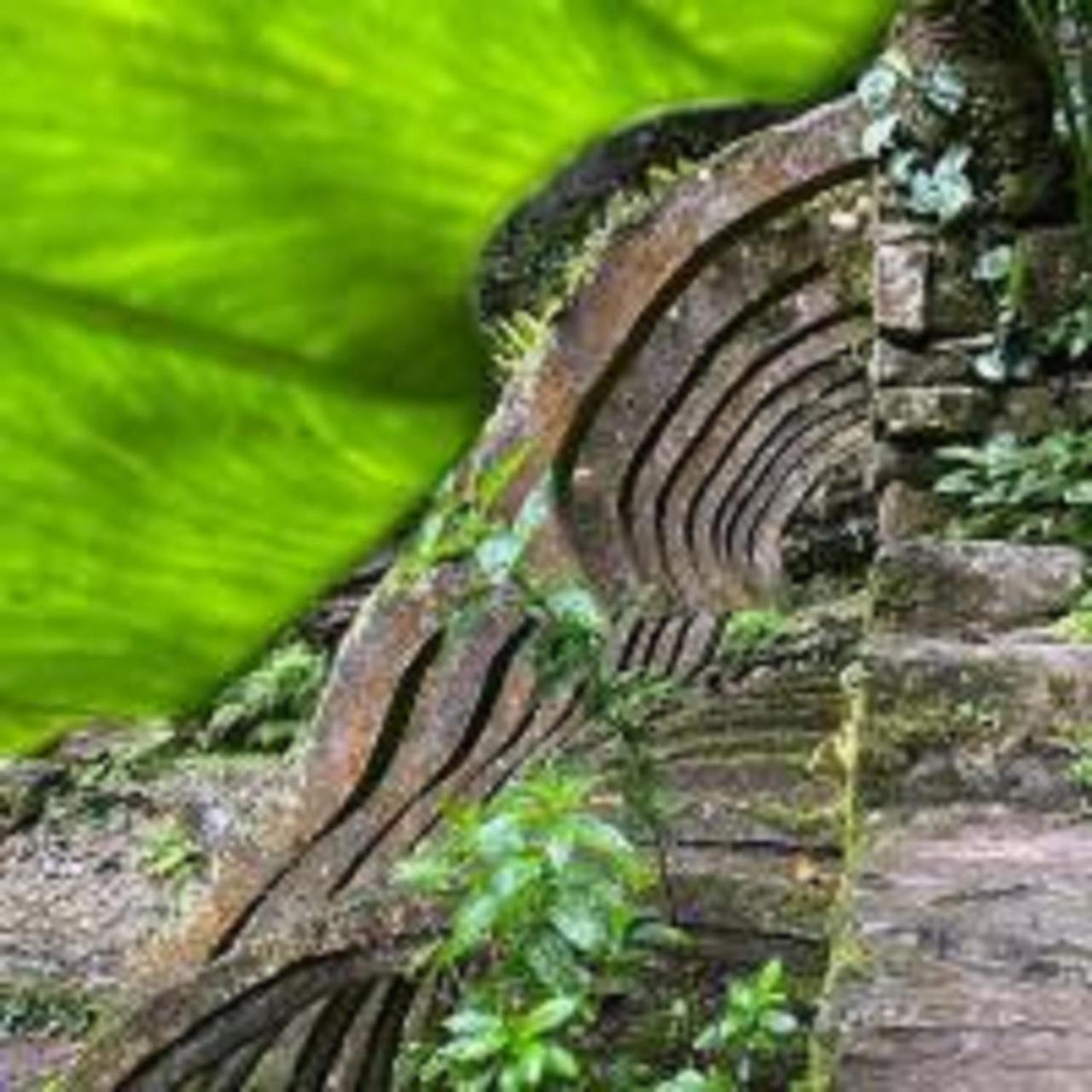 Grann Posada Xilitla Luaran gambar